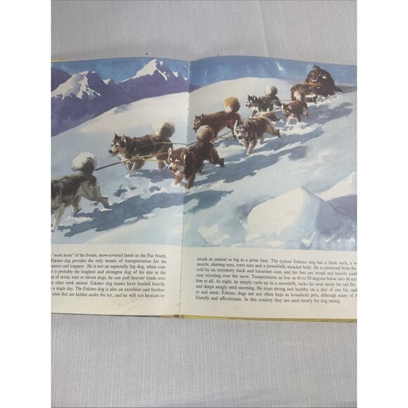 Vintage The Big Book Of Dogs 1952 HC By Felix Sutton Antique HTF Children’s Kids - Picture 15 of 16